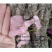 Бугенвиллия Bois de Roses Бугенвиллия Bois de Roses