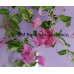 Бугенвиллия Mahara Marble Red (Double Red variegated) Бугенвиллия Mahara Marble Red (Double Red variegated)