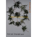 Клен веерный Эмеральд Лейс (Acer palmatum Emerald Lace) 